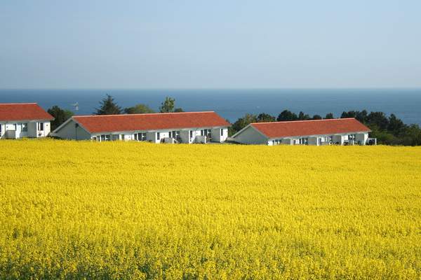 Ferienhaus 26646 - Hauptfoto